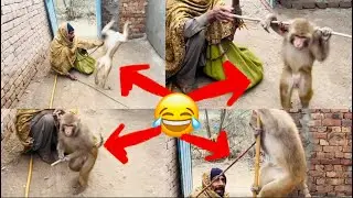 Monkey ka kartab😂|| ye kesy kr leta😱