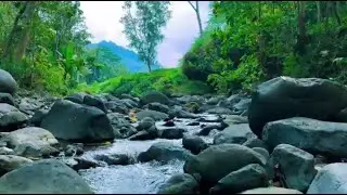 Relaxing River Sounds for Sleeping, Meditation and Stress Relief | 10 Hours Natural Ambience