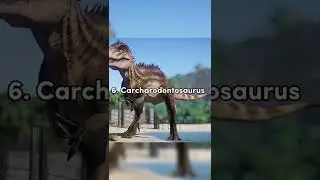 10 Largest Carnivorous Dinosaurs