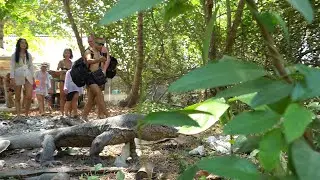 The monitor lizard defends itself by attacking people #shorts
