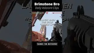 #Molly #Lineup - #Fracture - A Site - Default from behind Dish #Brimstone #Shorts
