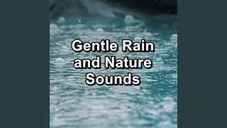 Rain Sounds on a Tin Roof To Loop for 10 Hours