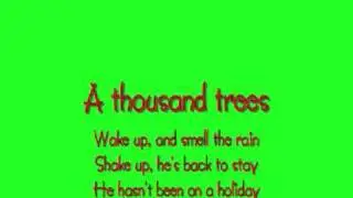 A Thousand Trees - Stereophonics Lyrics