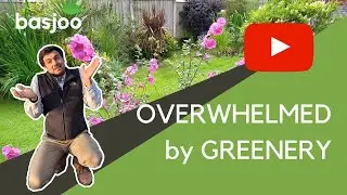 OVERWHELMED by too much GREENERY- Call in a Professional Gardener