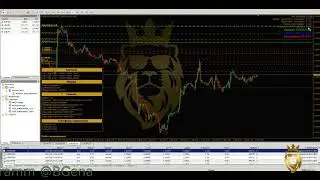 Настройка WSB LOCK При больших просадках и когда все стратегии в одну сторону.