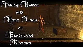 Neverwinter Chronicles Finding Honor and Into the Blacklake District