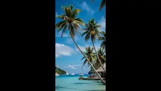 Relax in Paradise 🌴 Ocean Waves + Chill Music LIVE #SleepShorts #relaxingSounds