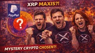 XRP Investors Wait For A PayPal Deal While They Chose Spark Token