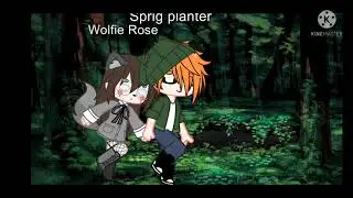 Sprig Planter meets Wolfie Rose one of my oc for amphibia and dancing for a while meme I typed