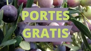 Portes Gratis