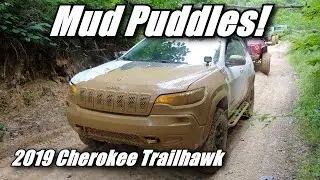 Группа MOJO, модифицированная за июнь, Jeep Cherokee Trailhawk 4x4 2019 года