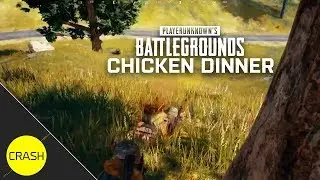 Chicken Dinner Win - Playerunknowns Battlegrounds