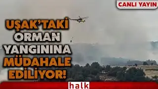 Uşak’ta çıkan orman yangınına havadan ve karadan müdahale ediliyor!