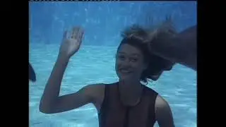 Beautiful Freediver Girl and Dolphins
