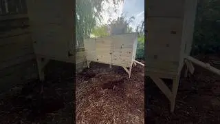 Awesome Hen House! Chicken Coop, pressure treated wood #coopsbyjoe #diy #fypシ #custom #animal #howto