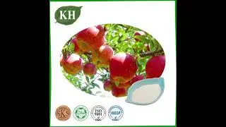 Vine tea extract dihydromyricetin 98% super cheap-KINGHERBS