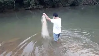 Fish Trapping || Catching Fish By Gill net|| Fishing In River Using Net