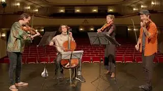 Paranormal String Quartet ⎮ 