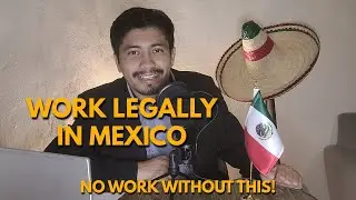 Work in Mexico Legally: Residency & Permits Explained