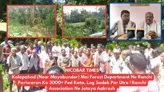 Kalapahad (Mayabunder) Mai Forest Dept Ne Ranchi Pariwaron Ka 3000+ Ped Kata, Log Sadak Par Utre
