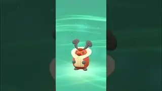 Kricketot Evolving! | Pokemon Shining Pearl #Shorts