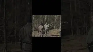 How Bucks Travel #shortvideo #hunting #outdoors #subscribe