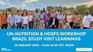 Workshop - UN Nutrition & Healthy Diets Coalition Workshop on Brazil Study Visit Learnings