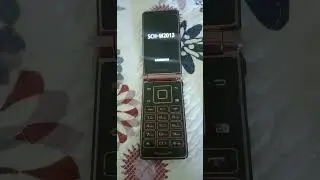 Samsung SCH-W2013 - Startup