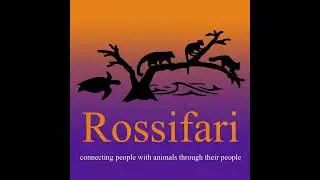 Best of Rossifari - Free Range Lemurs with Caitlin and Lauren of the Lemur Conservation Foundation