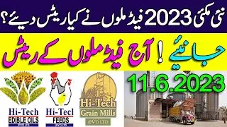 Feed Mills maize prices 2023 || Today Feed Mills Rates 2023