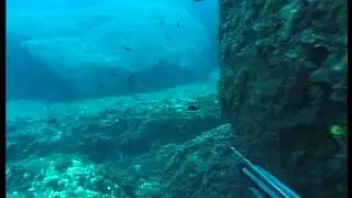 Agguato Profondo 2 3/4