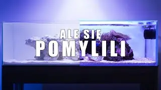 MOJE PIERWSZE AKWARIUM RAFOWE &ndash; DZIEŃ 1 DO 365 - ROK