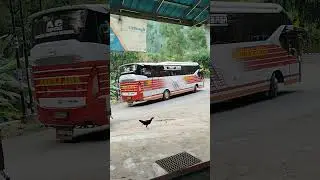 pesona bus atb po Aneka jaya pacitan surabaya body legacy sr 2 shd prime laksana#busatb#anekajaya