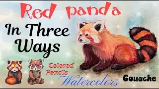 DRAWING A RED PANDA Step by Step!