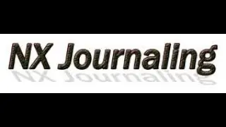 NX Journal Record