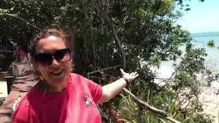 Natal Rio Grande do Norte // E suas Belezas!