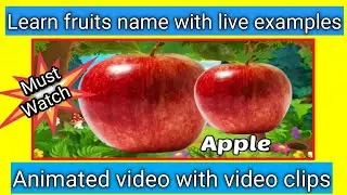 Learn fruits name with live example। Animated video with video clips  । छोटे बच्चों की पढ़ाई । 10