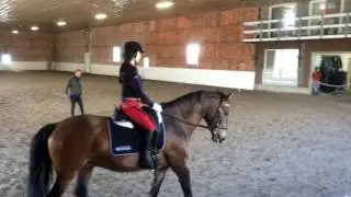 Galento & Bravario
