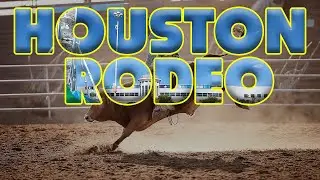 Houston Livestock Show and Rodeo First Impressions