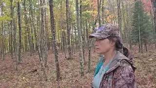PART 46 - BEAUTIFUL FALL HUNTING SEASON 2025