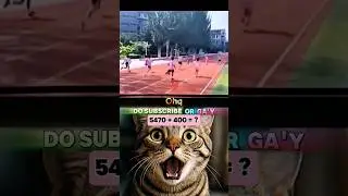 Bro run wrong way 😂 #funny #cat