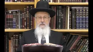 הגאון הרב אברהם יוסף שליט