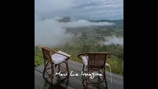 Z Low Hau la imagina