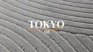 Tapis ext&eacute;rieur int&eacute;rieur gris TOKYO 02 | Toutapis