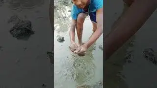 Amazing fishing in a muddy pond