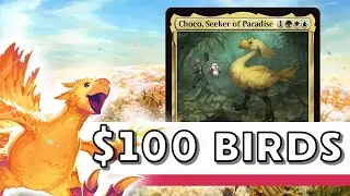 The Perfect Commander for Beginners in 2025