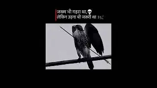 Still I Rise #motivation #shorts #foryou #trending