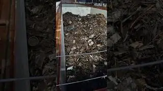 Португалия заказала металлолом