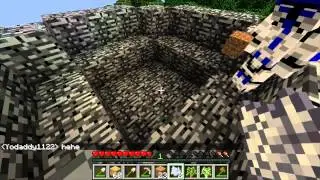 Minecraft Server 