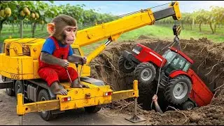 Monkey Farm Turns into Chaos When Trailer Gets Stuck – Smart Rescue Saves the Day! 🐒🚜